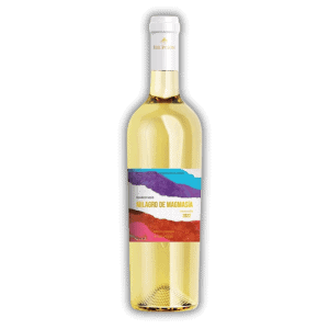 bodega erupción vino milagro de magmasía 2021